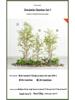 Zen Bamboo Artificial Green Plant: Outdoor Privacy Screen & Decorative Potted Fence
