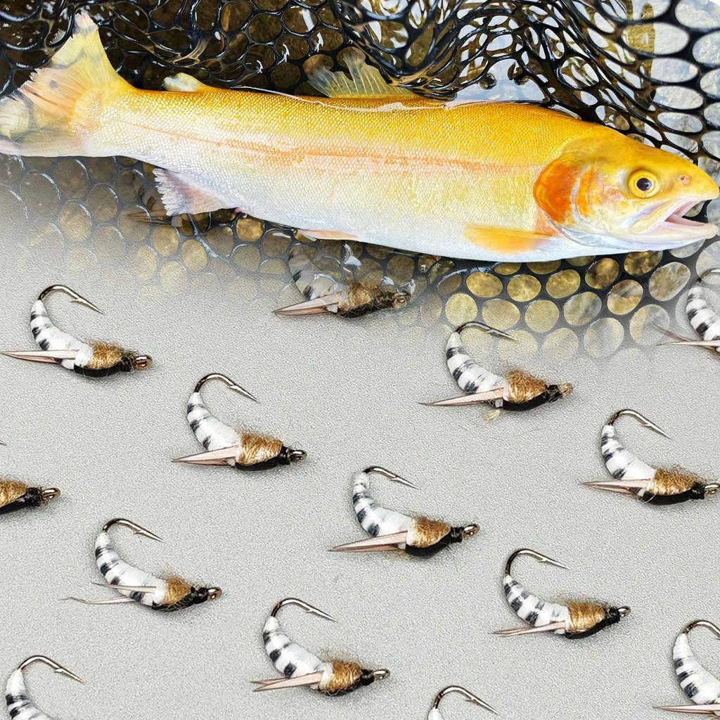 Fly Fishing Flies 2 Box Bundle(Total 18Pcs Flies)-Flies Wet Flies Artificial Nymph Bait for Fishing Trout/Bass Artificial Bait