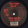 12inch Record STRIVE FOR JIVE, JAVIER PEREZ - Never Gonna Give Up BLR012 BASSLINE 1995 US Dance & Electronica Used