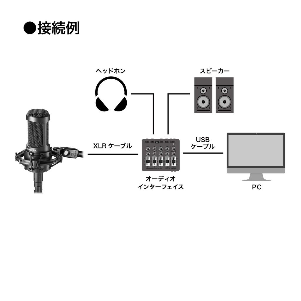 AT2050 Condenser Microphone Audio-Technica