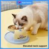 Comedero elevado para gatos y perros, tazón de acero inoxidable con soporte ergonómico antifatiga