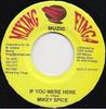 7inch Record MIKEY SPICE - If You Were Here NONE Mixing Finga Mu Jamaica Reggae, Ska & Dub Used