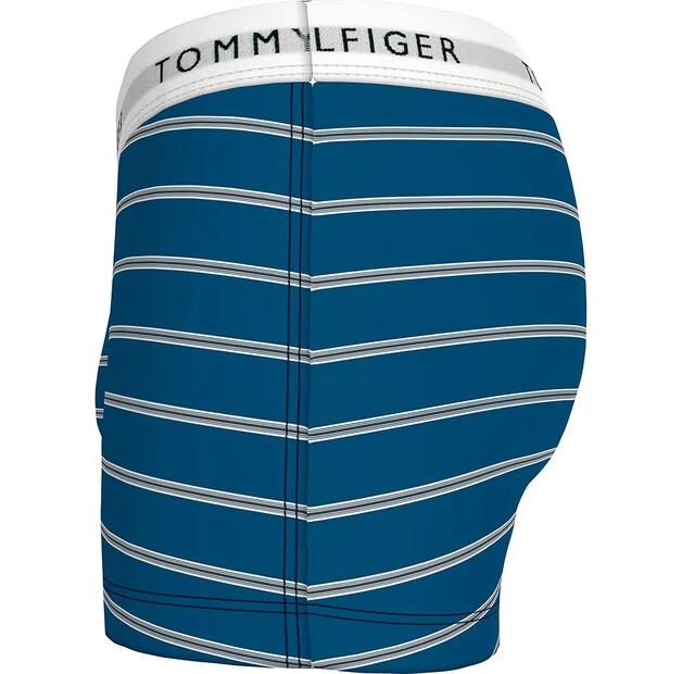 Tommy Hilfiger Print боксеры 3 шт.