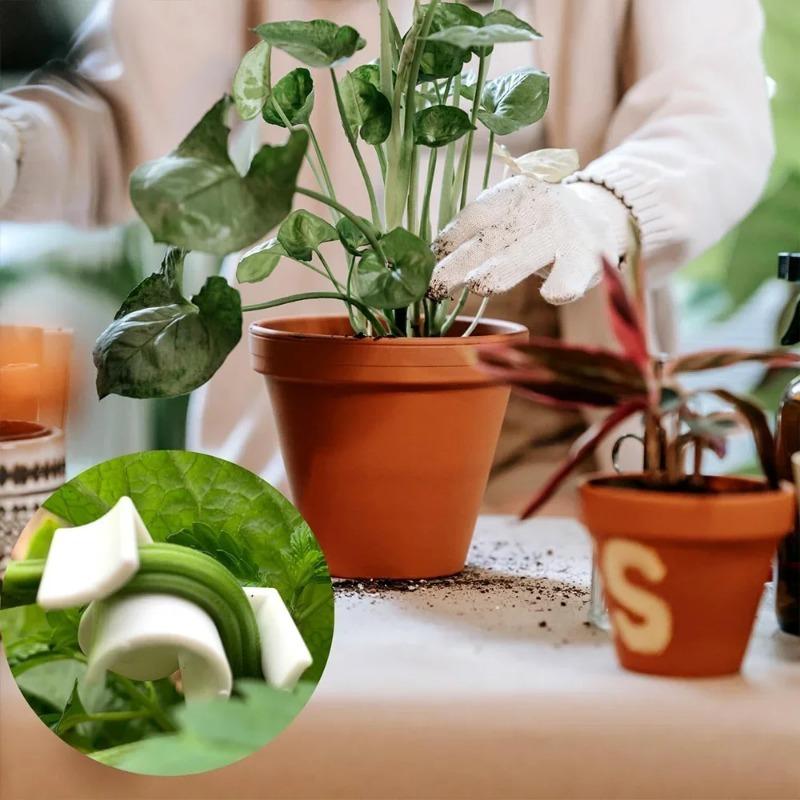 1/10/50/100 шт., гибочный зажим для растений, 90 градусов, тренировочный зажим с низким стрессом, многоразовые зажимы для гибки стебля растения, принадлежности для сада