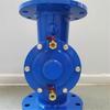 DF41X Flange Backflow Preventer Valve