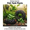 Hollow Round Aquarium Fish Shelter 3D Printed Shrimp Shelter Cave  Fish Tank Decor