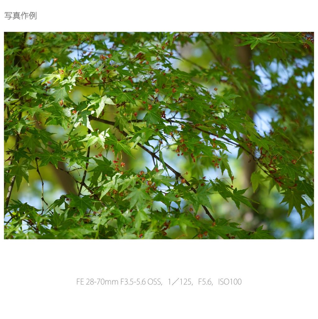 Стандартный зум-объектив SONY FE OSS, совместимый с полноразмерными камерами 28-70 мм F3.5-5.6