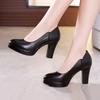 Small Size 32-43 Elegant Formal Court Shoes Women Pumps 2025 Spring Block High Heels Shoes Shallow for Office Model Wedding