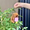 Горячая Распродажа Черепаха и Клубника Шляпа Кепка Капибара Плюшевая Кукла Брелок Украшение для Рюкзака