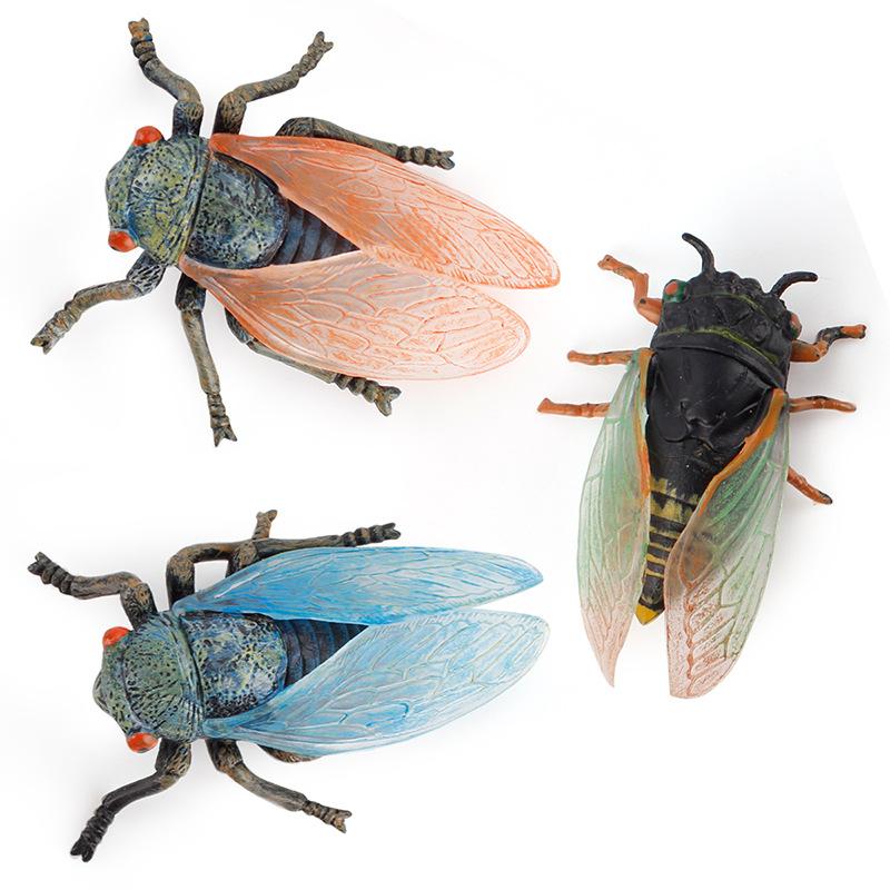 Детская игрушка Научно-образовательная модель Симуляция Насекомое Цикада Мир дикой природы Золотая цикада Украшения для песочницы