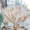 Source Yunnan Dried Flower Bouquet Combination, Real Flower Pampas Grass Home Decoration Reed Rabbit Tail Grass Dried Flowers