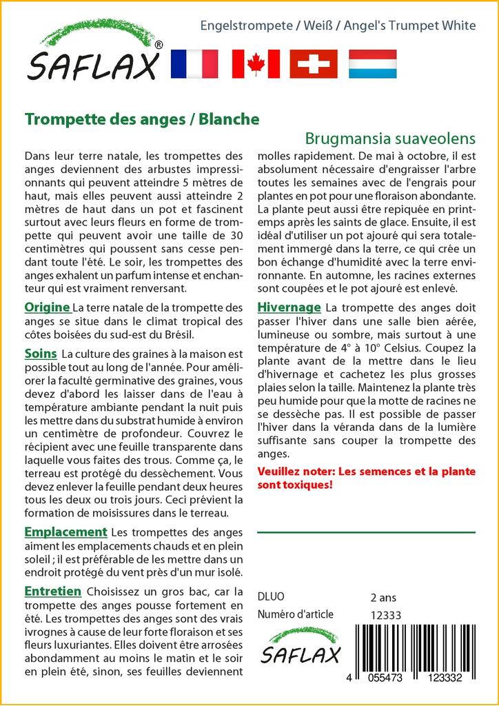 SAFLAX Angel's Trumpet White - 10 семян - Brugmansia suaveolens