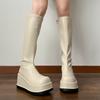 Fashion Platform Women Knee High Boots Wedges Fashion Designer Shoes Dress New Long Boots 2025 Winter Goth Chelsea Botas Women's Boots