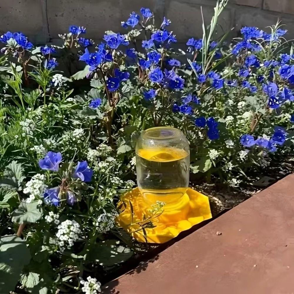 Small-Hole Honeycomb Bee Water Feeder Safe Honeybee Drinking Station Beekeeping Tool