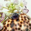 Amethyst Gemstone 925 Sterling Silver Plated Ring Jewelry PQY-IJ6114