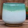 Yixing Handmade Coarse Pottery Medium Succulent Planter - Breathable Zisha Ceramic Ebony Tree Pot for Green Plants