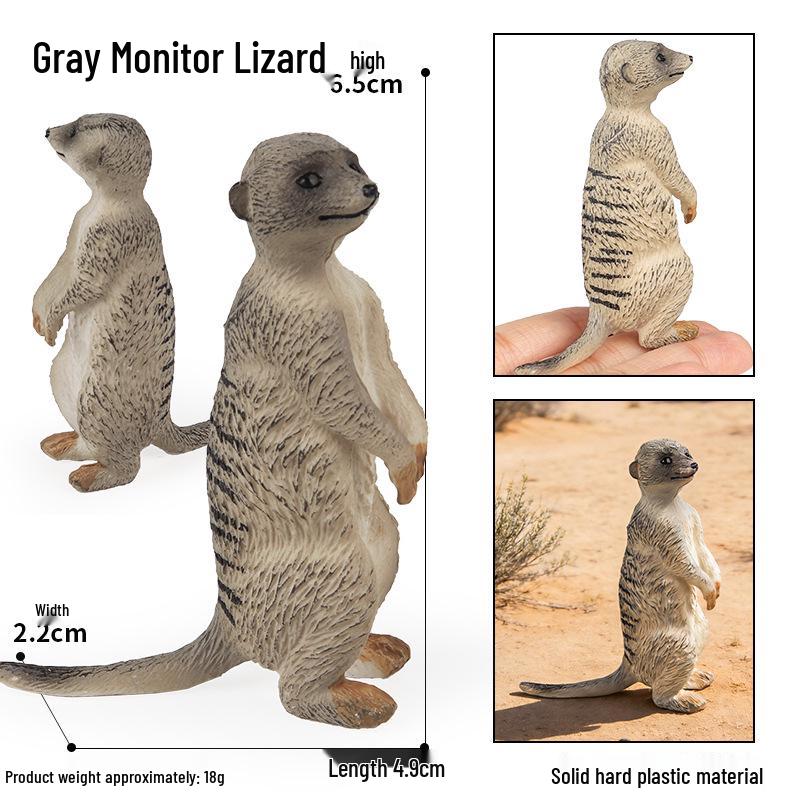 Realistic African Wildlife Lion Toy Set: Male, Female, and Mountain Lion for Children's Cognitive Learning