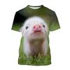 Guitar-Playing Pig 3D Printed Men's T Shirts Funny Summer Animals O-Neck Short Sleeve Casual Comforts Tees Shirt Kid Tops Women
