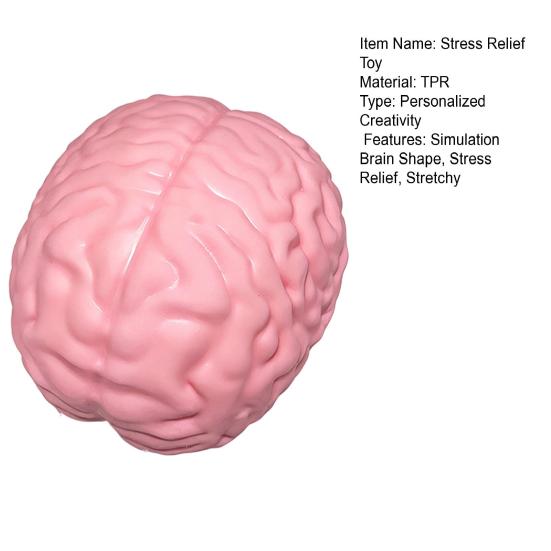 1/2Pcs Giant Simulation Brain Squeeze Toy Stress Relief Pink Brain Sensory Toy Decompression Slow Rising Realistic Brain Fidget Toy