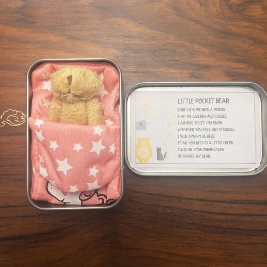 Plush Doll Personalized Gift Box Mini Stuffed Bear Set Soft Stress-Relief Companion for Teens Portable Cute Birthday Christmas Gift Comfort Security