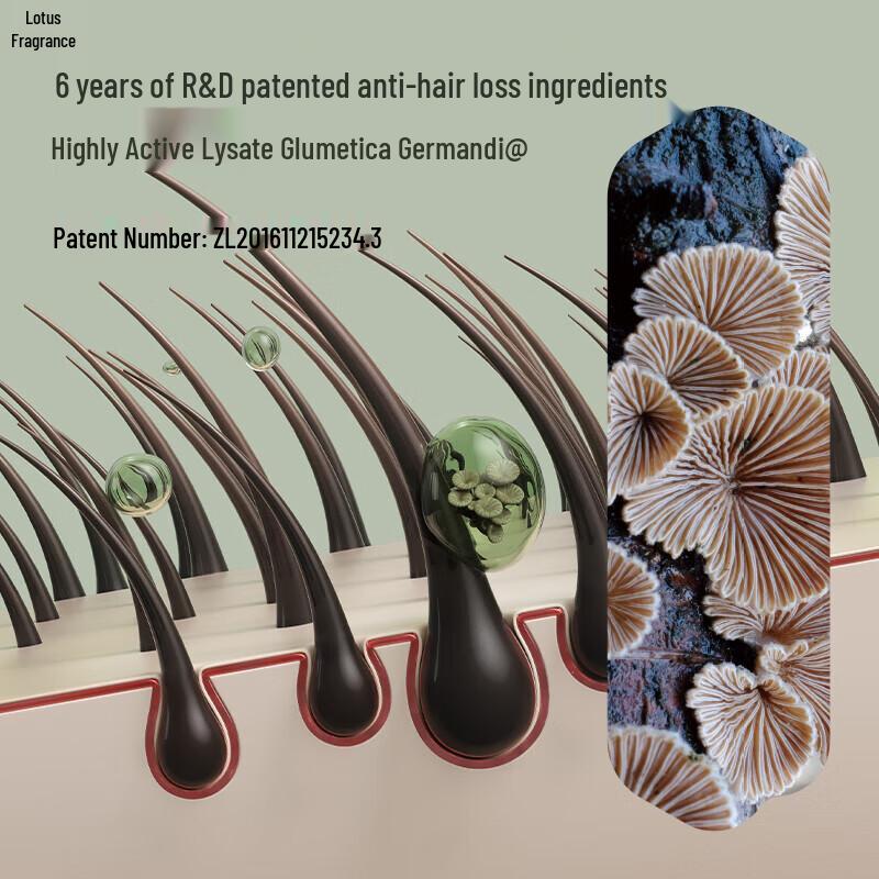 Hexin Anti-Hair Loss Shampoo & Hair Mask Set with Comb