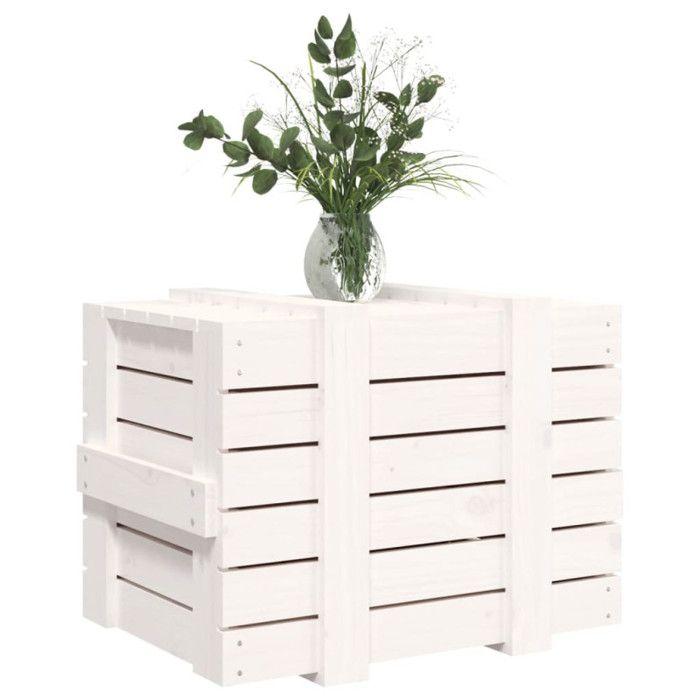 VidaXL Storage Box White 58x40.5x42 Cm Solid Pine Wood 824994