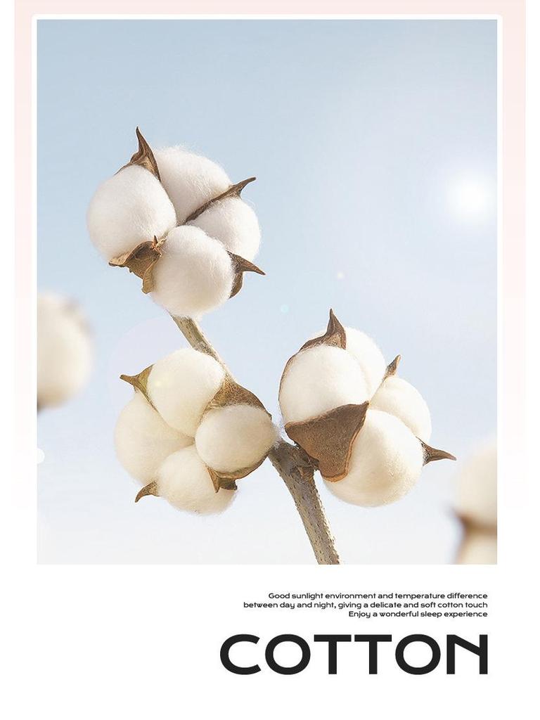 Комплект постельного белья из чистого хлопка, три предмета - Грубая ткань, на резинке, Подходит для общежитий и младенцев