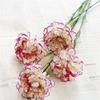 K-1030 Factory  High Quality Flower  Artificial Carnation For  Decoration