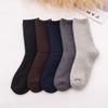 Men's Autumn and Winter New Casual Warm Cotton Wool Ring All Match Pure Color Plus Velvet Thickened Tube Socks