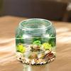 Turtle Container Aquarium Table Centerpiece Fashionable DIY Micro Landscape Living Room Display Tank