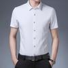 Men's Summer Solid Color Short-Sleeve Turn-Down Collar Shirt - Casual and Workwear Top