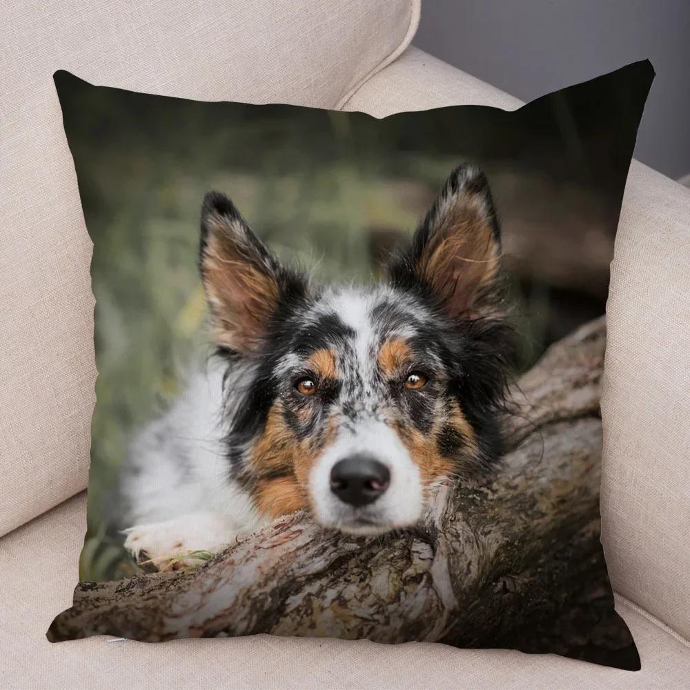 Милый Домашний Питомец Наволочка Шотландия Бордер Колли Наволочка для Дивана Автомобильного Декора Принт Собаки Мягкая Плюшевая Наволочка
