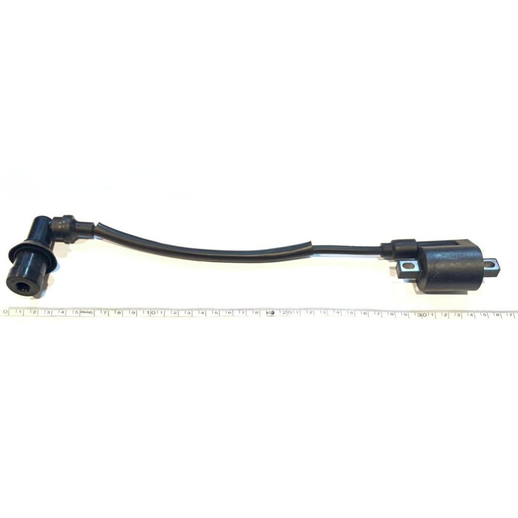 [Deepa Ribusu] Катушка зажигания TW200 Serrow 225 TW225 TZR50 TZR125