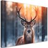 Canvas Print, Deer On a Sunset Background