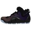 Мужские кроссовки Zoom LeBron 4 Баклажан Мужские Кроссовки Фиолетовый Черный Varsity-Purple FN6251-001