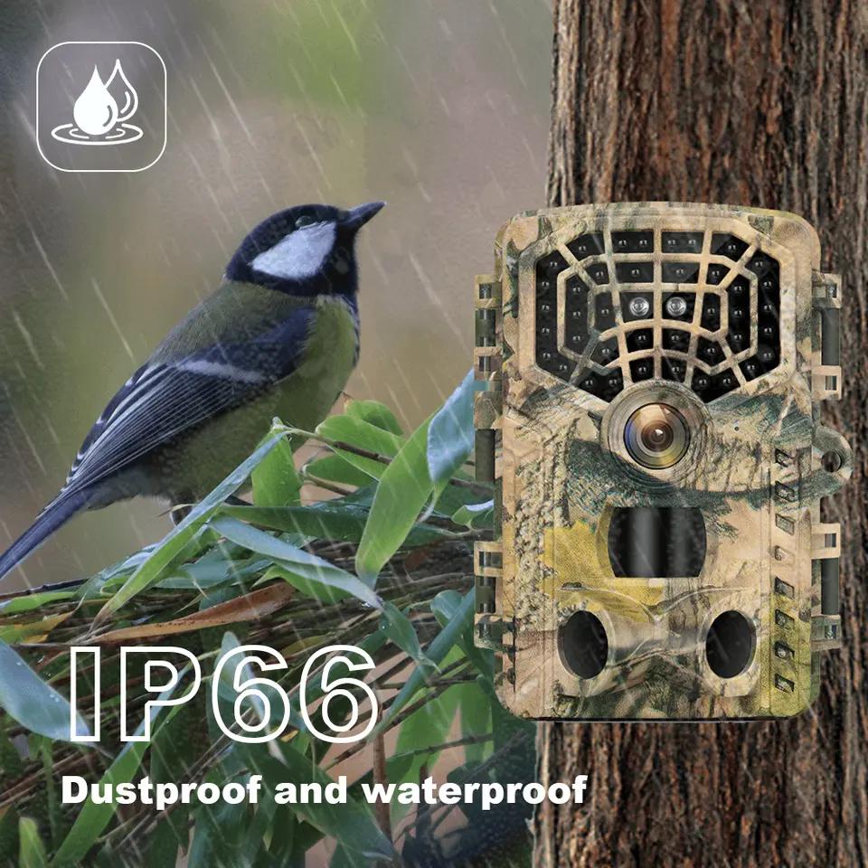 Wifi Hunting Camera Wildlife Trail Camera Hd Low Glow Arction 48mp 4k Ip65 Waterproof Outdoor Po Trap With Night Vision