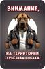 Металлическая табличка Осторожно Злая собака 30x20см Шпиц