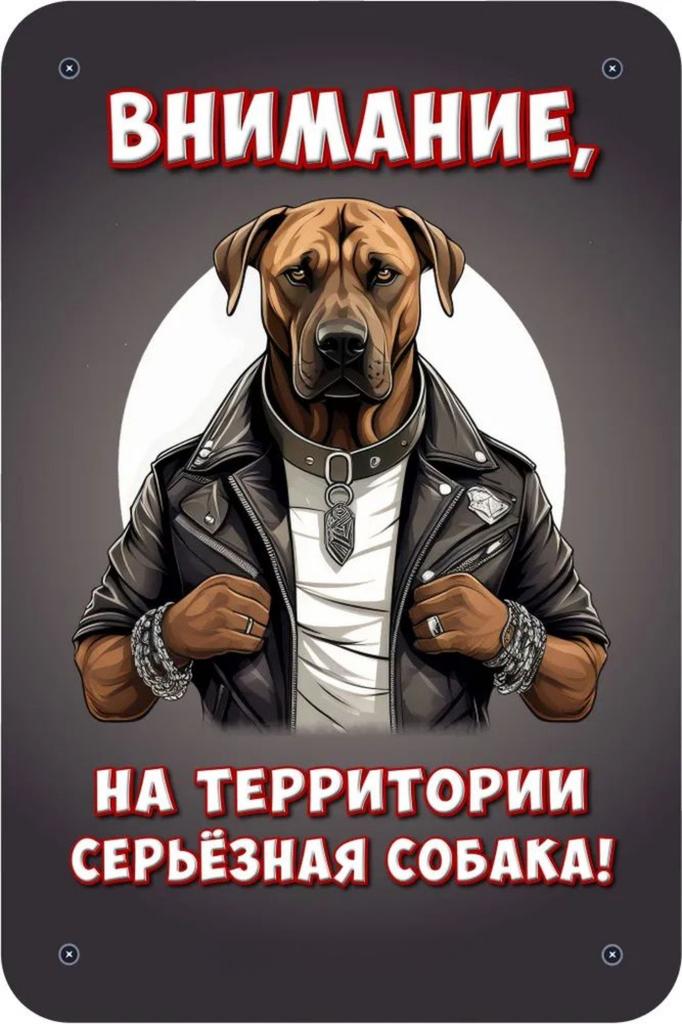 Металлическая табличка Осторожно Злая собака 30x20см Шпиц