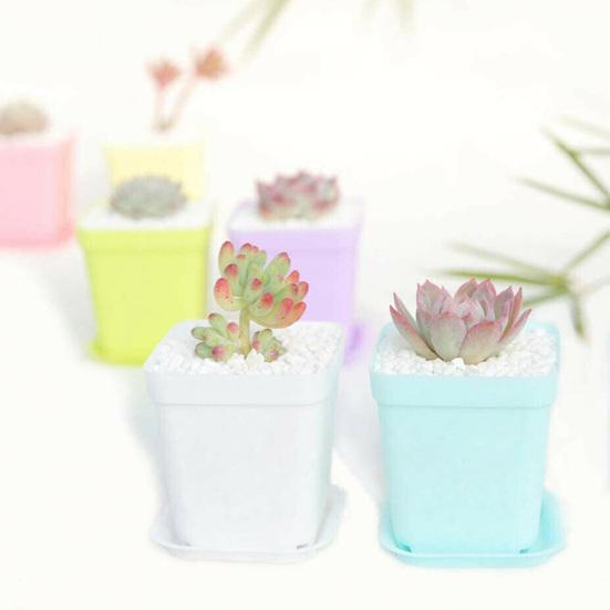 24 шт. пластиковые многоцветные мини-зеленые растения цветочный горшок с подносом садовый домашний декор Yousheng