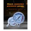 Xin Tester 0-60MPa water psi pressure gauge for home G1/4 Radial stainless steel manometer for Air oil water Hydraulic
