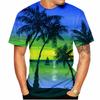 Summer Hawaiian Scenery 3D Print T-Shirts Streetwear Men Fashion Oversized O-Neck Short Sleeved T Shirt Tops Clothing