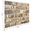 Wall Panels 10 pcs Multicolour 100 x 50 cm EPS Foam