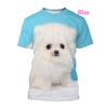 New Fashion Pomeranian Dog 3D Printing Men's and Women's T-shirt Casual Shirts Cute Tops
