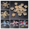 10/20pcs AB Color Fan Loose Beads Gilded Edge Rose Leaf Loose Beads Fashion DIY Jewelry Accessories Handmade Materials