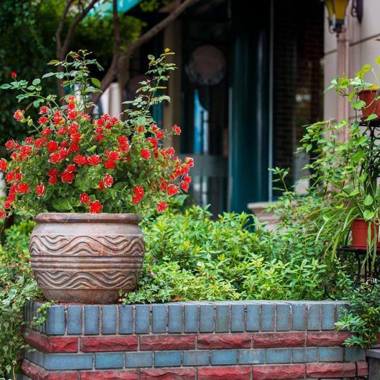 2 шт. искусственные цветы долговечные яркие реалистичные искусственные растения для домашнего сада наружное украшение