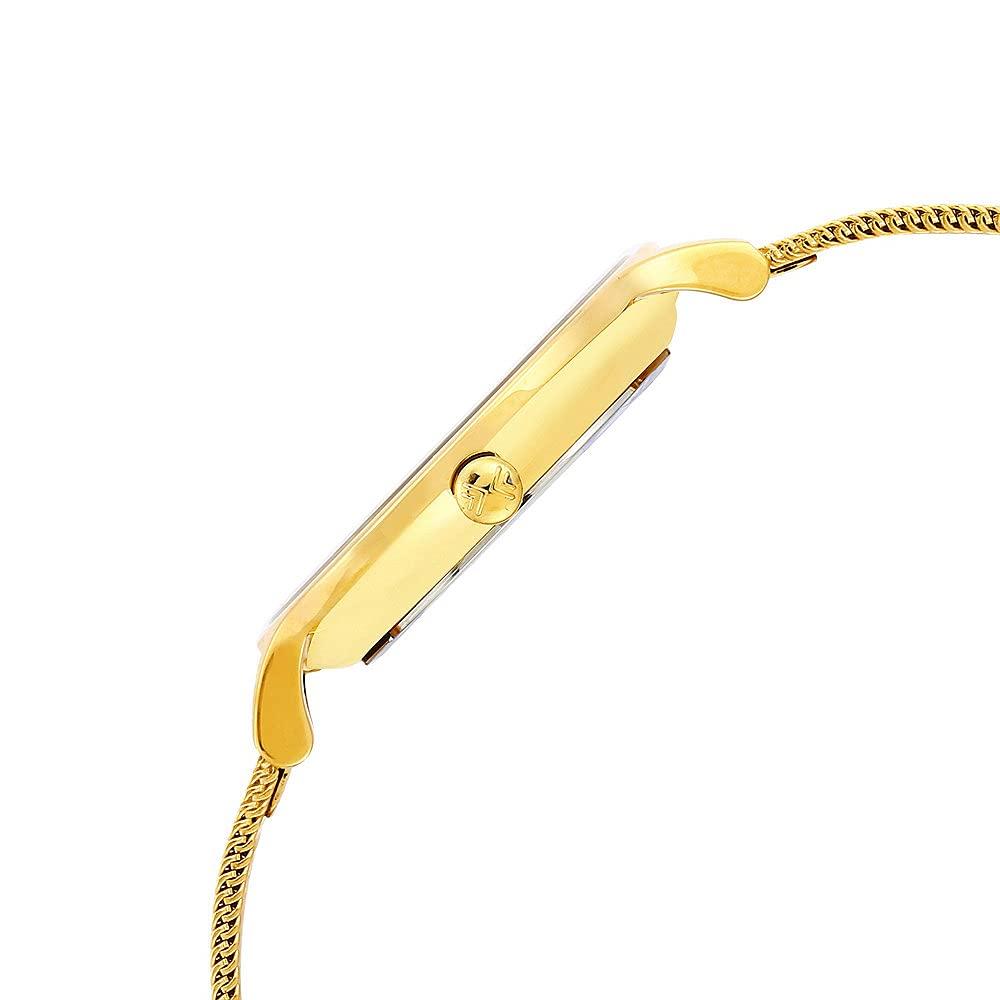 Skagen Anita Gold Mesh Ladies Watch SKW2150