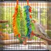2 Pcs Parrot Chewing Toy with Metal Hanging Ring Colorful Felt Strips Small Animal