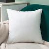 Solid Color Velvet Pillow Cover, Soft Plush Throw Pillow Case, 17.7x17.7 Inch Smooth Velvet Cushion Cover for Sofa, Bed, Office, Cozy Home Decor