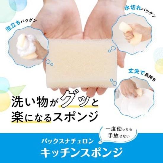 PAX NATURON Kitchen Sponge (Natural Set 5) Dishwashing (Lathering Drainage Durability) Taiyo Yushi