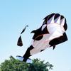Large Dolphin Kite, Outdoor Kites, Fly with Kites Strings, Game Activity Beach